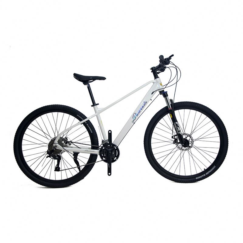 Mountain Biking Usa - 29-Zoll-Mountainbike aus Aluminiumlegierung, 21 Gänge, mit